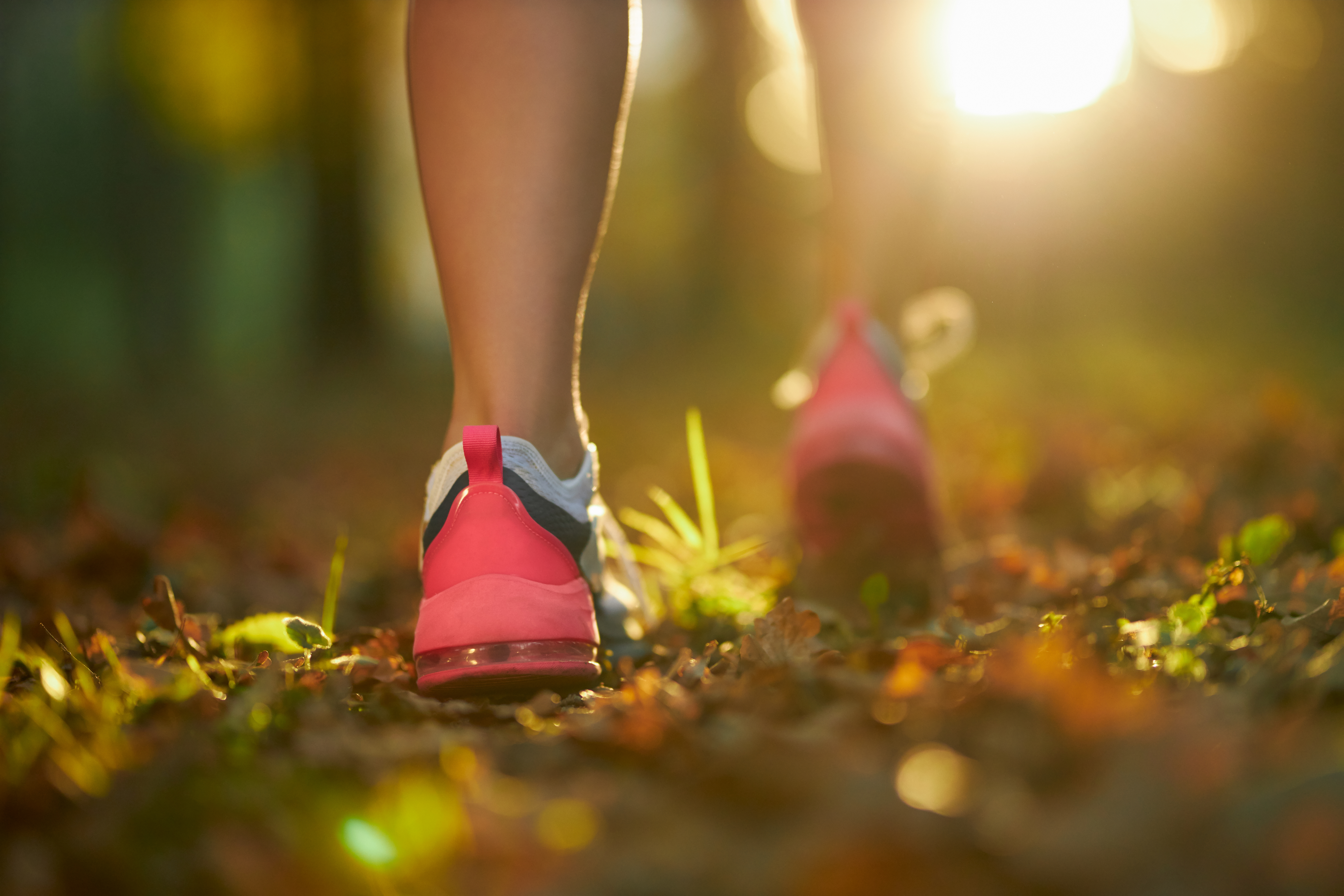 close-up-female-legs-sport-sneakers-jogging-park